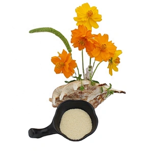 Supplier Fish Gelatin Halal Gelatin Powder food additives gelatin for healthcare supplement