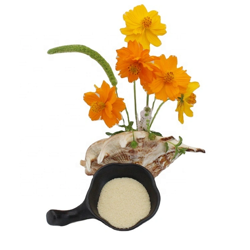 Supplier Fish Gelatin Halal Gelatin Powder food additives gelatin for healthcare supplement